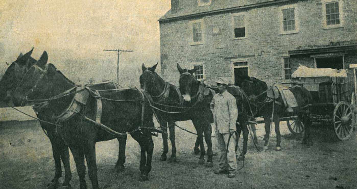 Snavely-1907-lg
