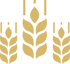 divider-wheat
